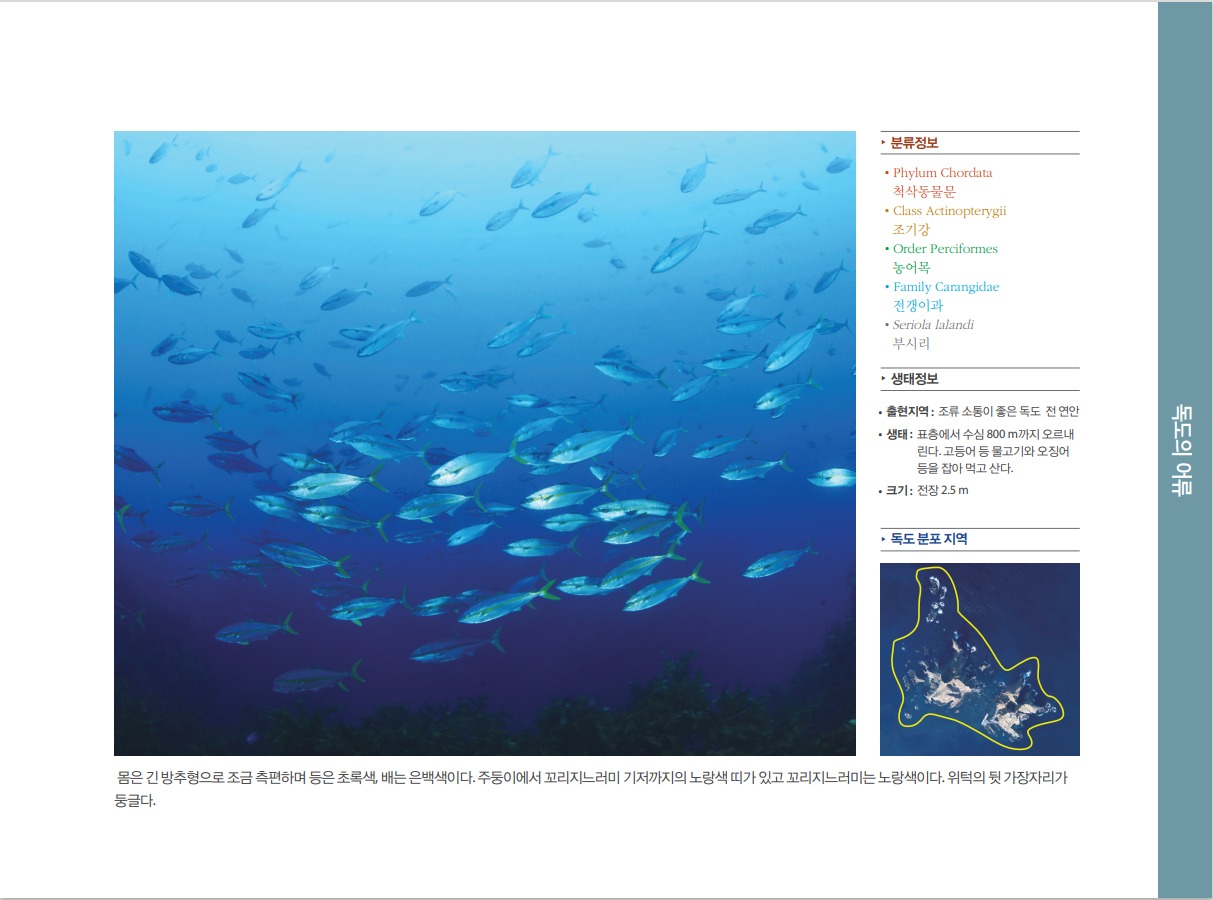 부시리 정보